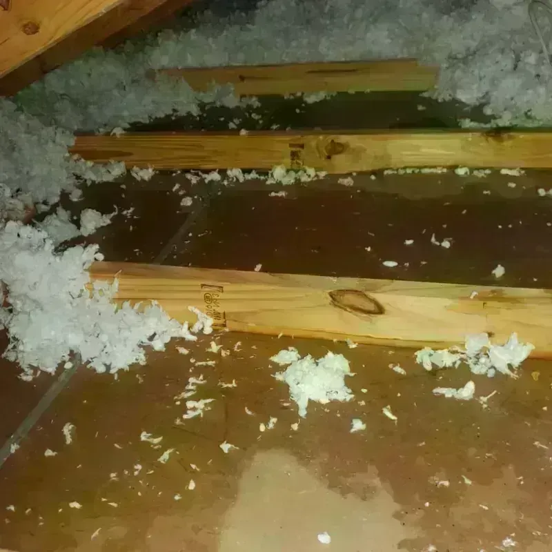 Attic Water Damage in Warren County, IN