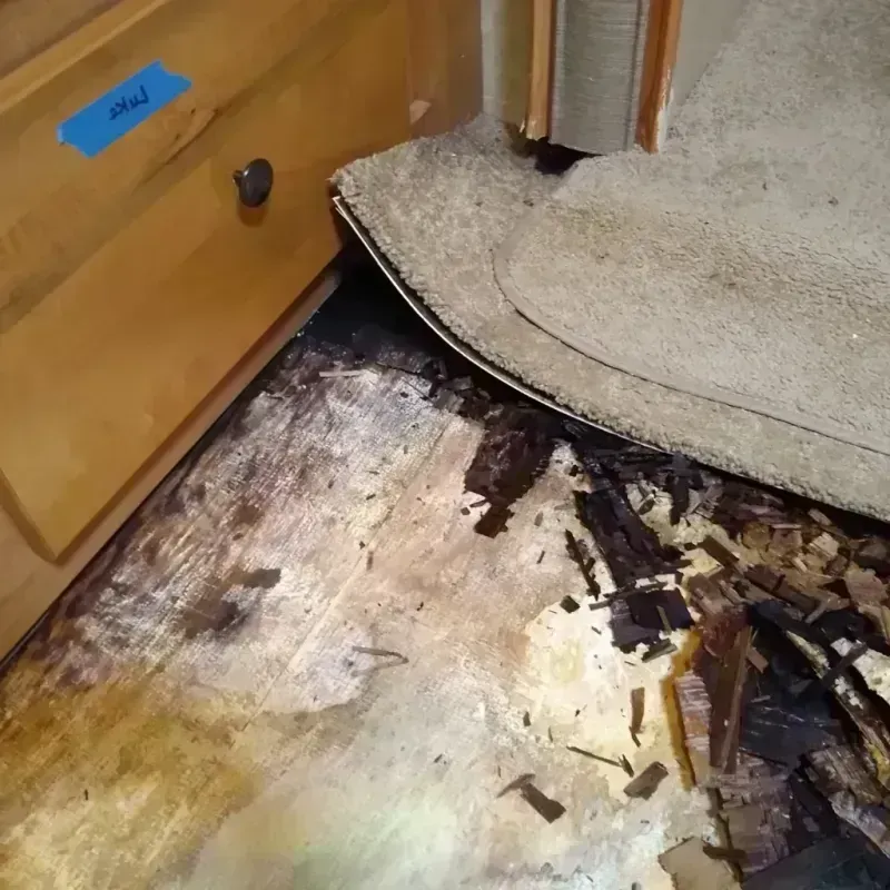 Best Wood Floor Water Damage Service in Warren County, IN